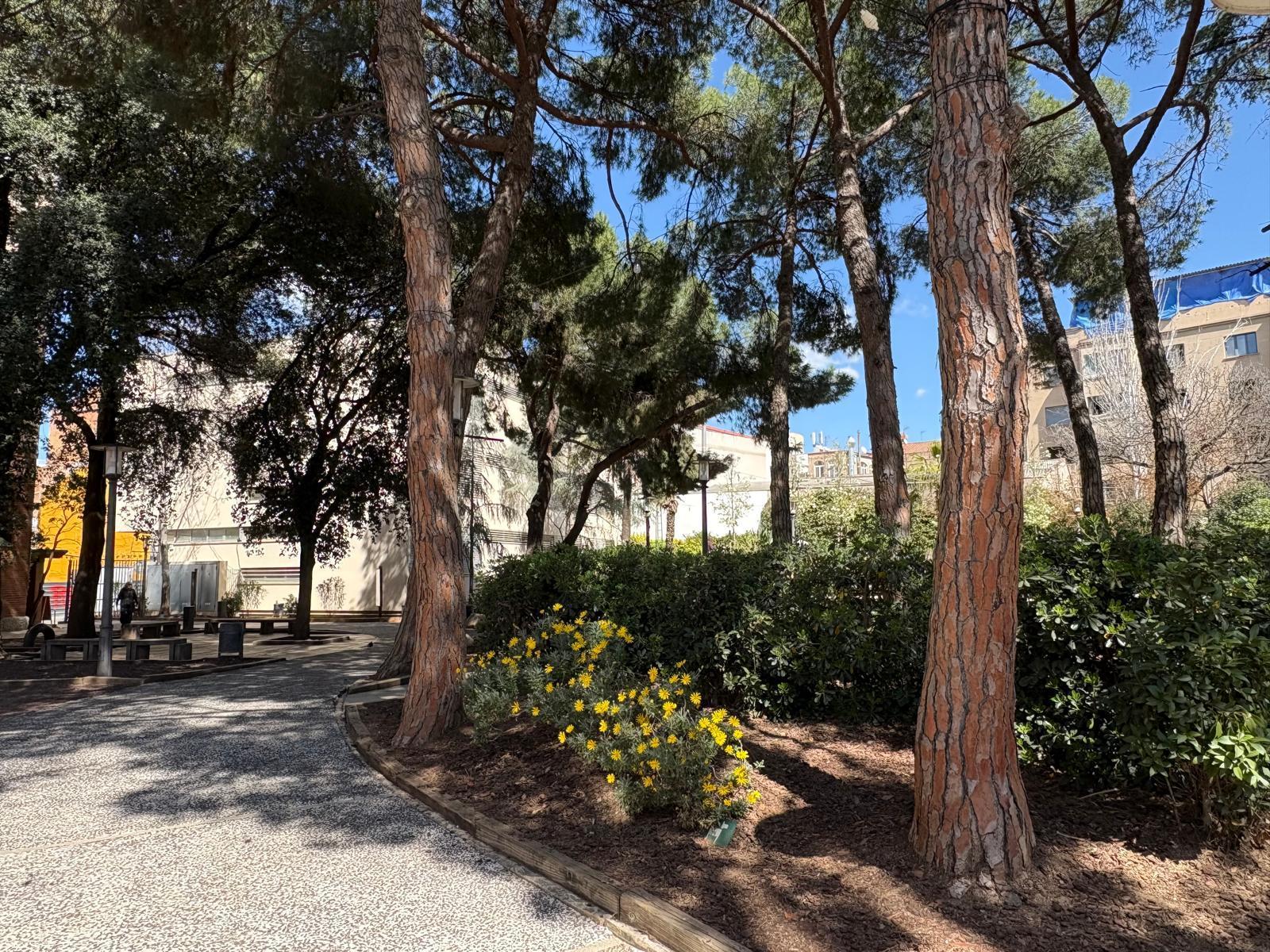 Imagen 3 Piso en venta en Sabadell / Junto Rambla y cerca de todos los servicios