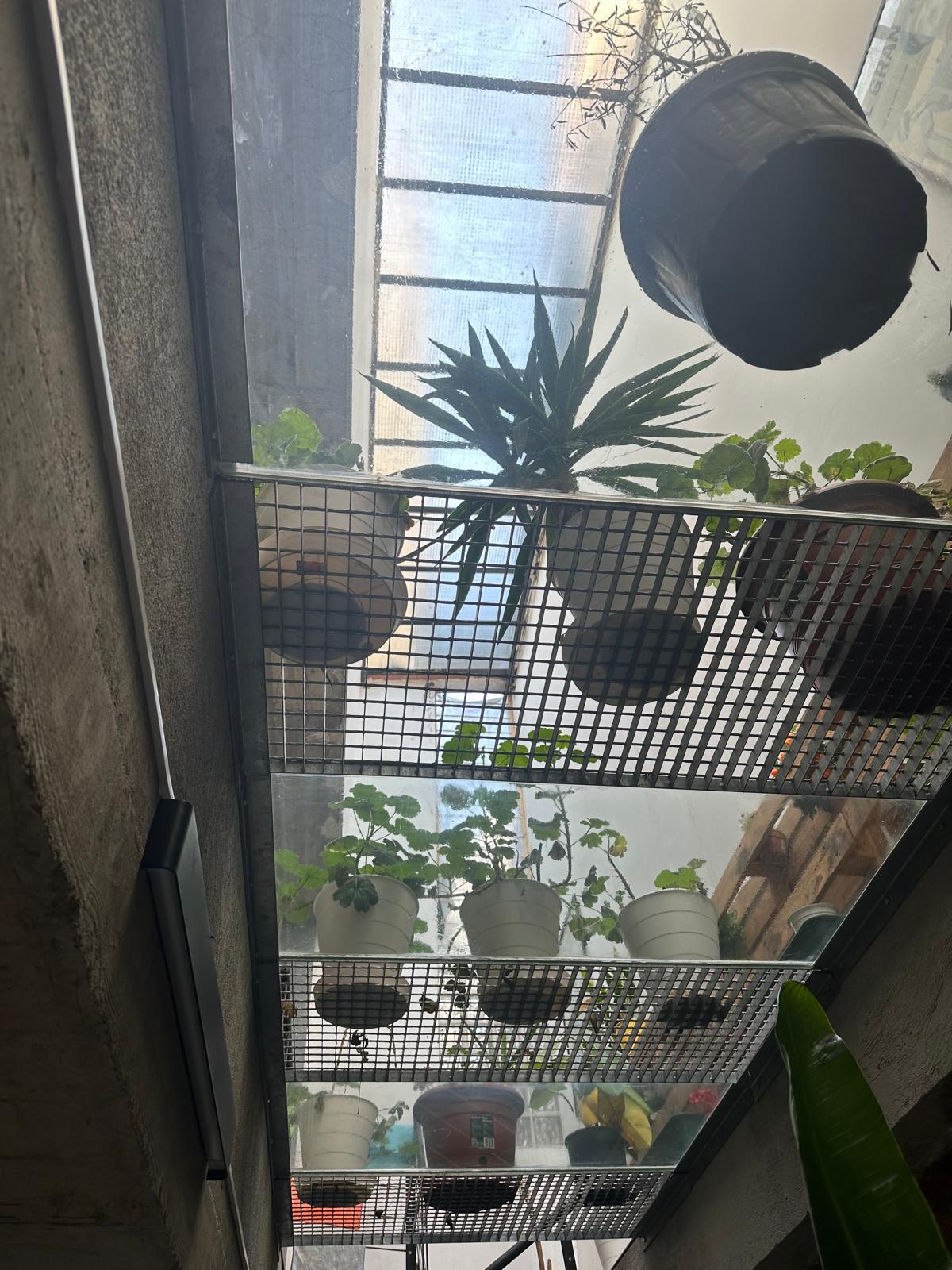 Imagen 2 Planta Baja en venta en Barcelona / Calle Canalejas junto el Mercado de Sant Medi