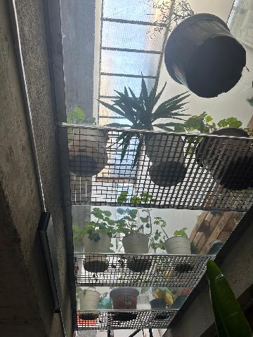 Imagen 2 Inmueble 291837 - Planta Baja en venta en Barcelona / Calle Canalejas (junto el Mercado de Sant Medi)