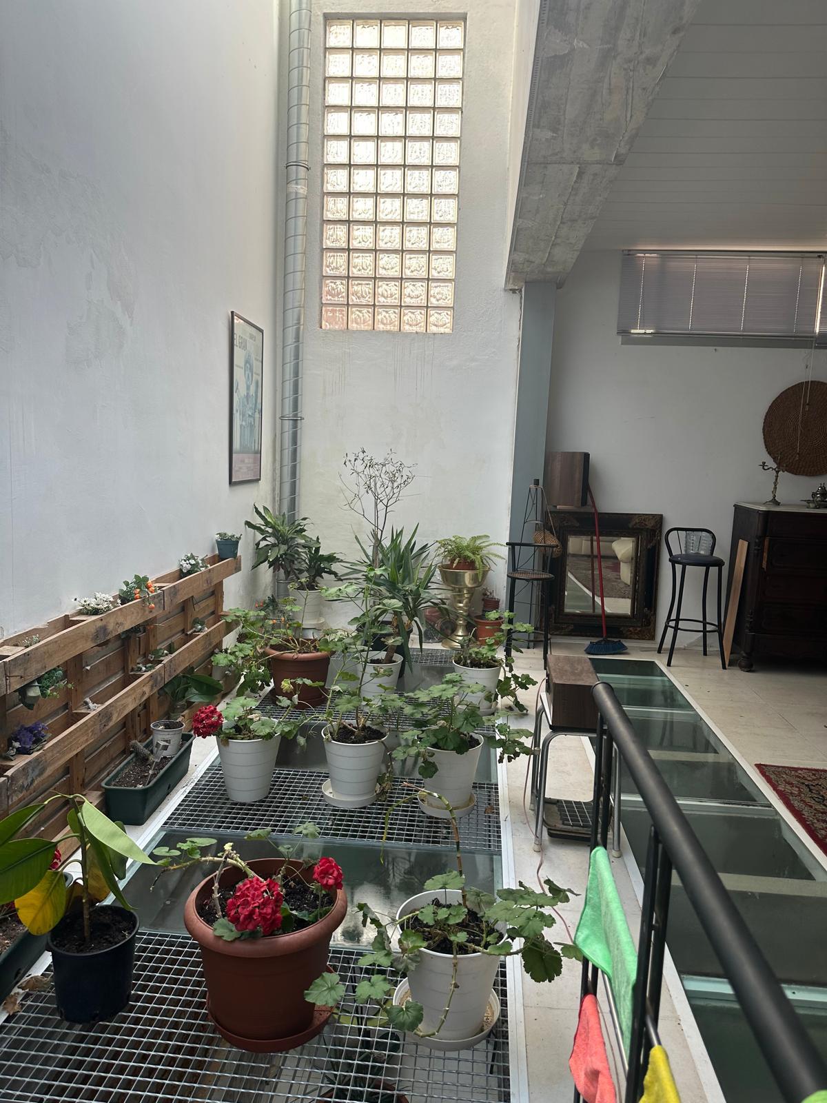 Imagen 13 Planta Baja en venta en Barcelona / Calle Canalejas junto el Mercado de Sant Medi