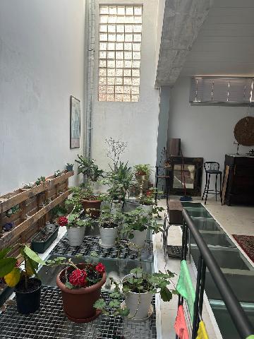 Imagen 13 Inmueble 291837 - Planta Baja en venta en Barcelona / Calle Canalejas (junto el Mercado de Sant Medi)