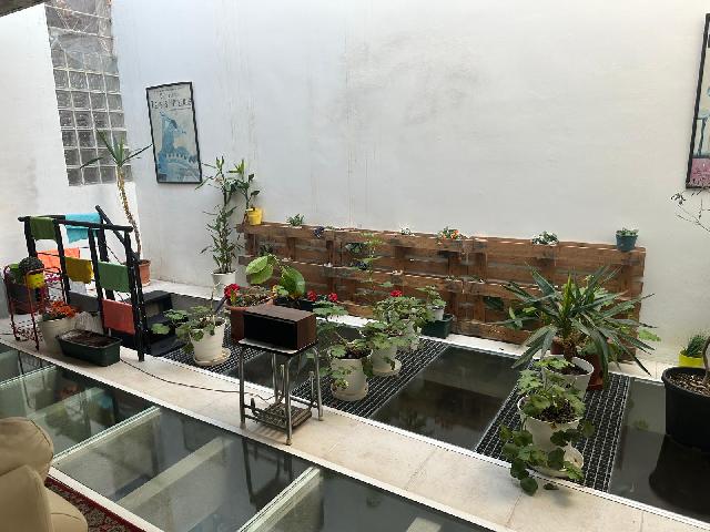 Imagen 9 Inmueble 291837 - Planta Baja en venta en Barcelona / Calle Canalejas (junto el Mercado de Sant Medi)
