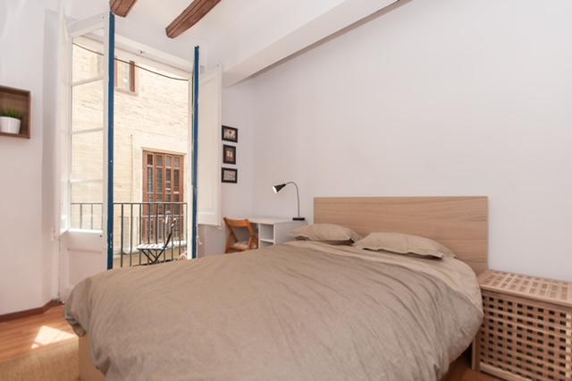 Imagen 19 Inmueble 295466 - Piso en venta en Barcelona / Sant Pere Mes Baix - Via Laietana