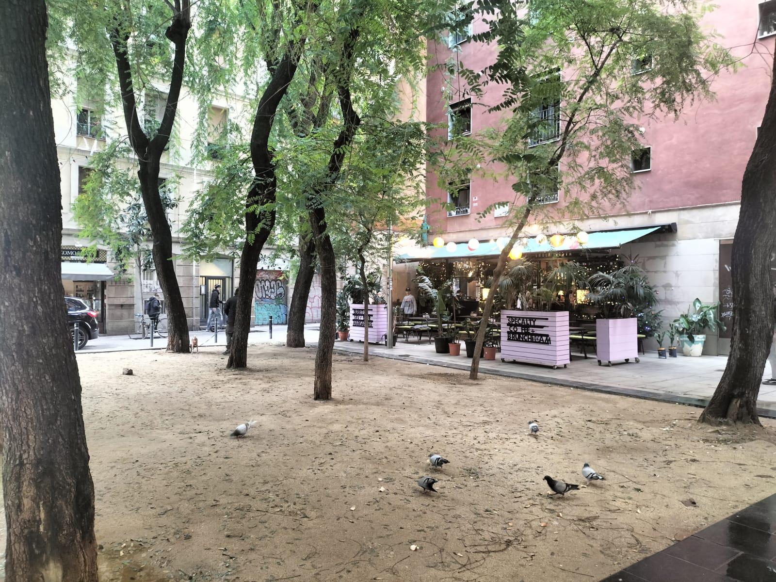 Imagen 32 Piso en venta en Barcelona / Peu de la Creu - Joaquim Costa