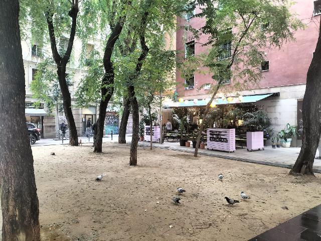 Imagen 32 Inmueble 298290 - Piso en venta en Barcelona / Peu de la Creu - Joaquim Costa