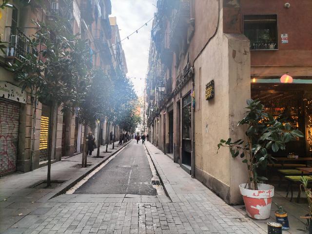 Imagen 31 Inmueble 298290 - Piso en venta en Barcelona / Peu de la Creu - Joaquim Costa