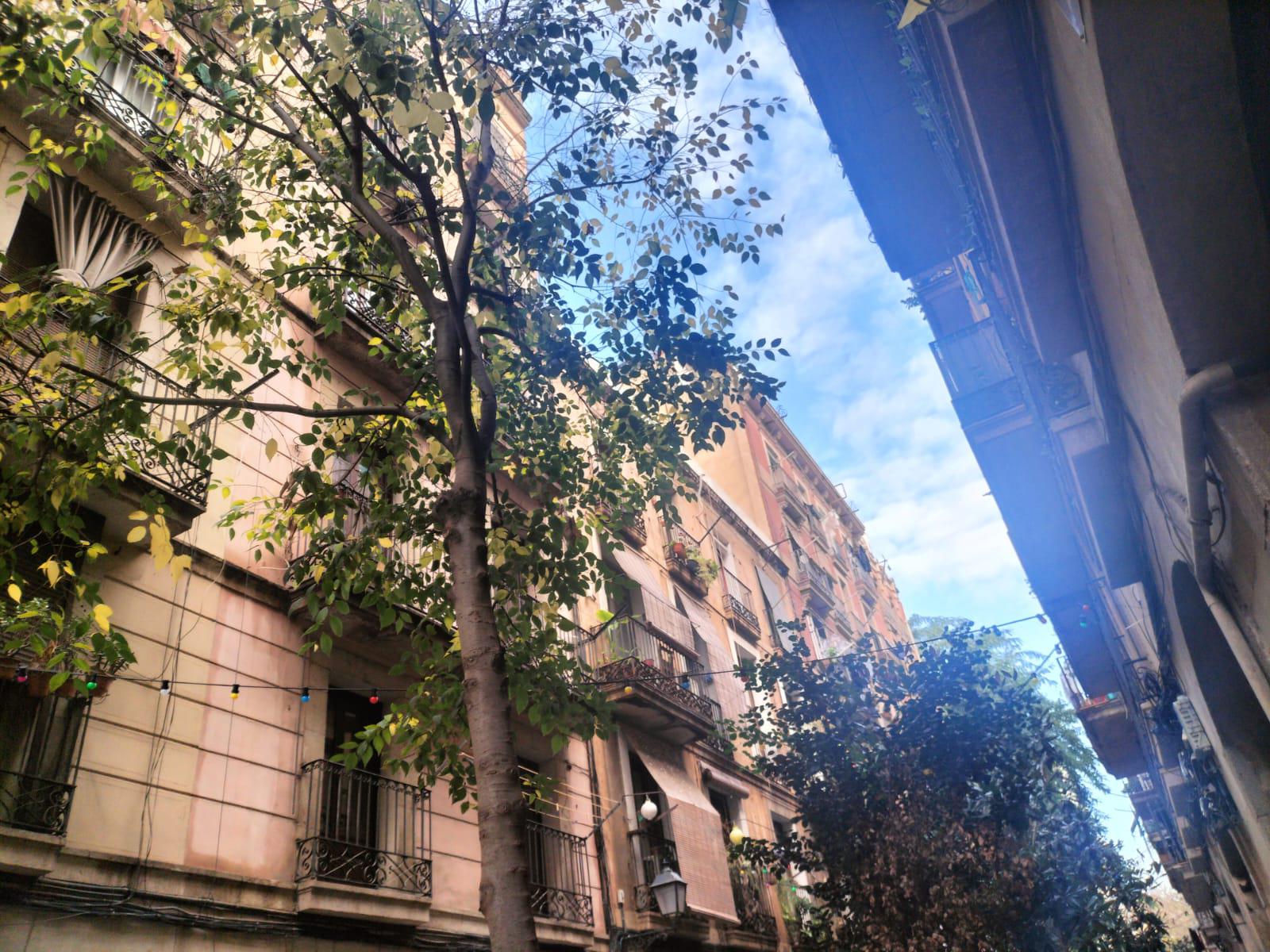 Imagen 34 Piso en venta en Barcelona / Peu de la Creu - Joaquim Costa