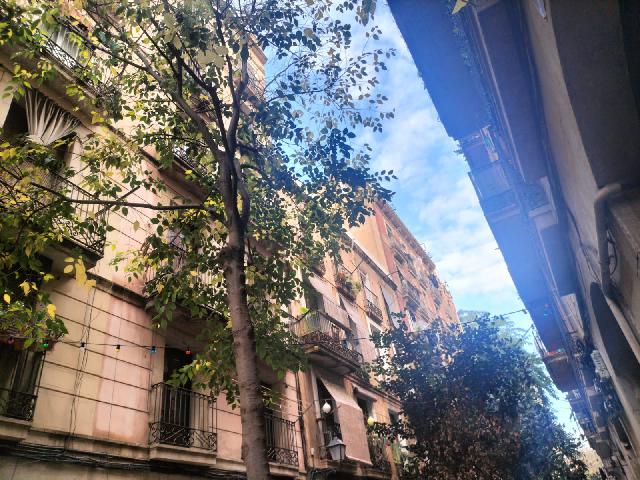 Imagen 34 Inmueble 298290 - Piso en venta en Barcelona / Peu de la Creu - Joaquim Costa