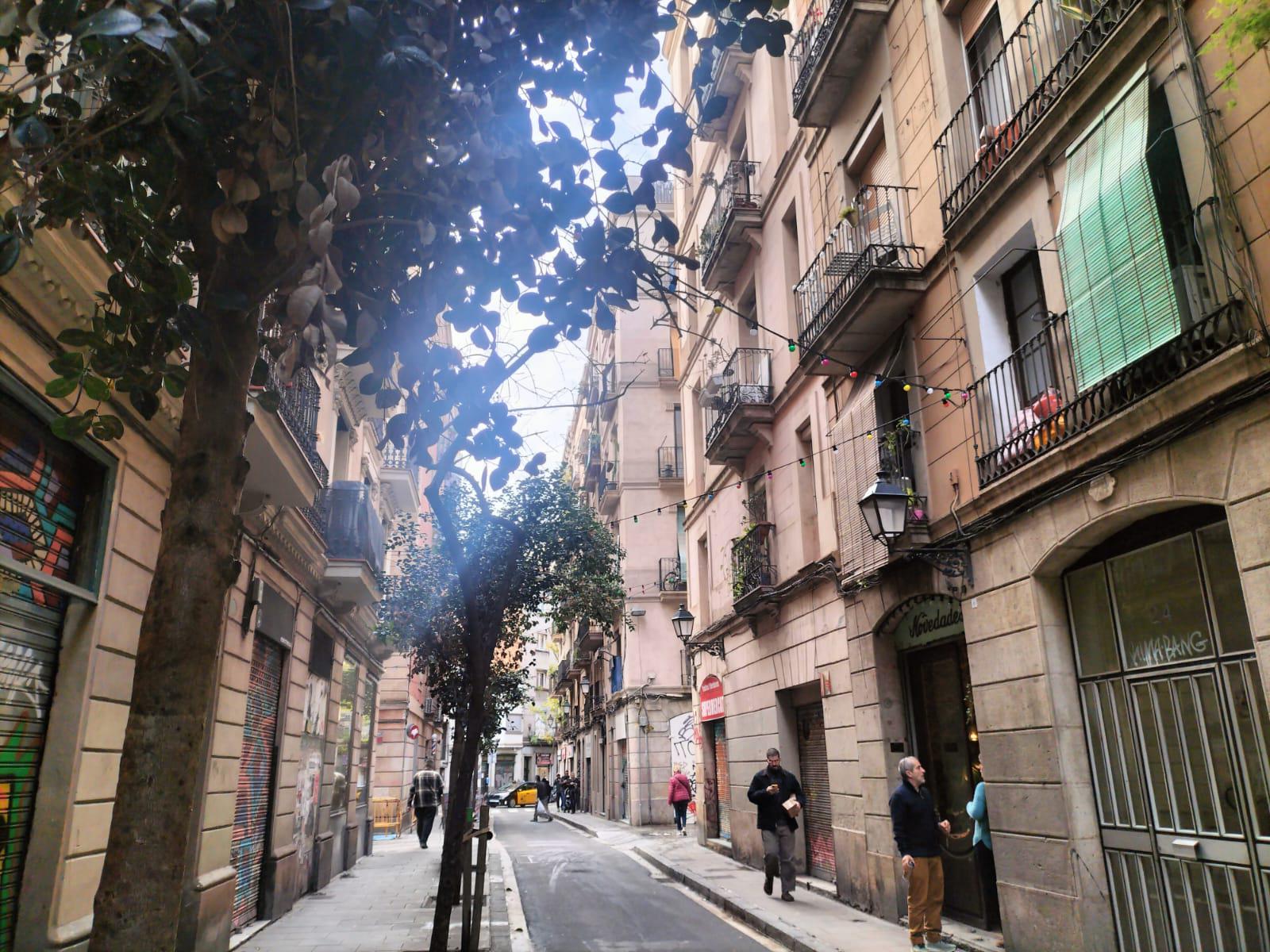 Imagen 35 Piso en venta en Barcelona / Peu de la Creu - Joaquim Costa