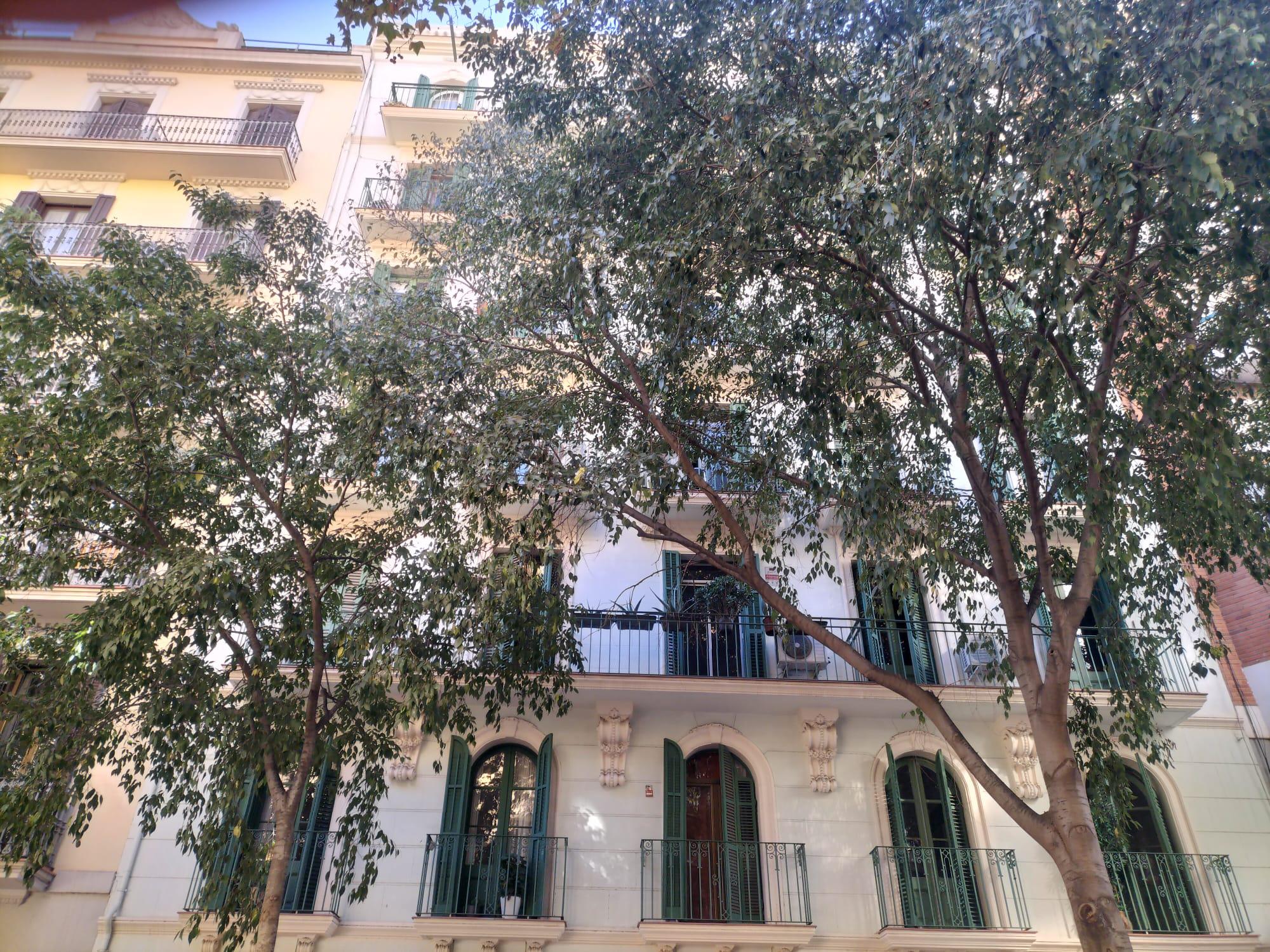 Imagen 27 Piso en venta en Barcelona / Viladomat - Provença