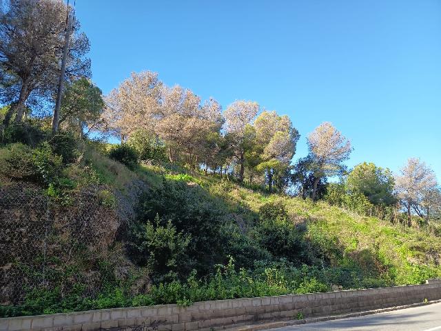 Imagen 22 Inmueble 300731 - Piso en venta en Barcelona / Santuari - Murtra