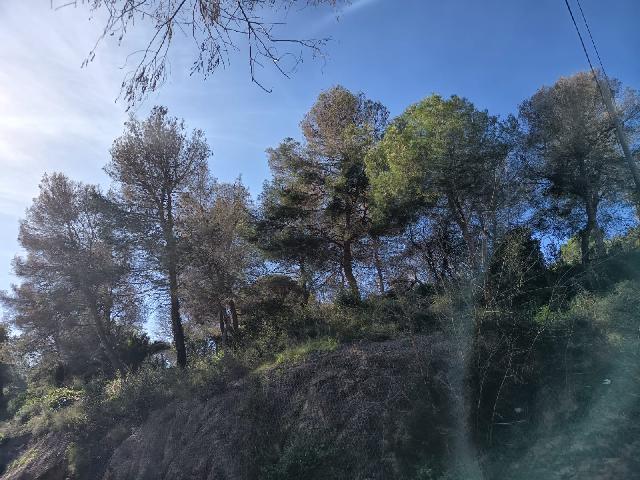 Imagen 23 Inmueble 300731 - Piso en venta en Barcelona / Santuari - Murtra