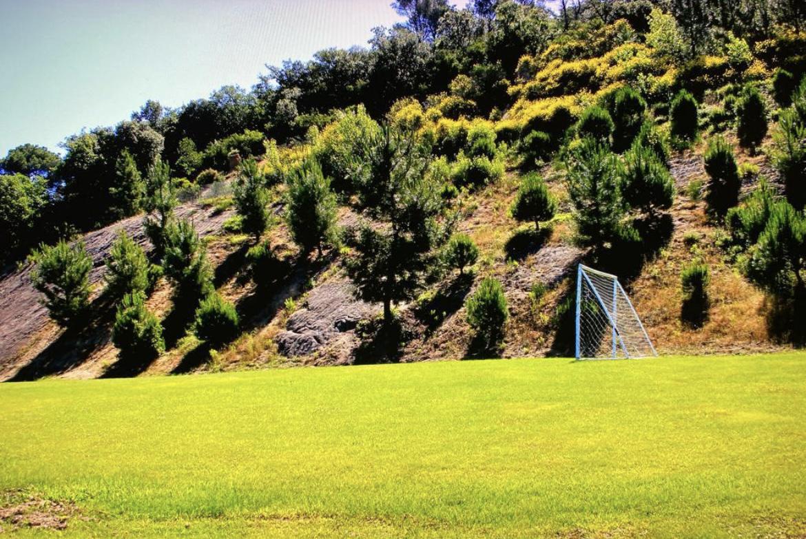 Imagen 8 Casa Aislada en venta en Bescanó / Casa d´alt standing de 450m2 en terreny 40.000m2