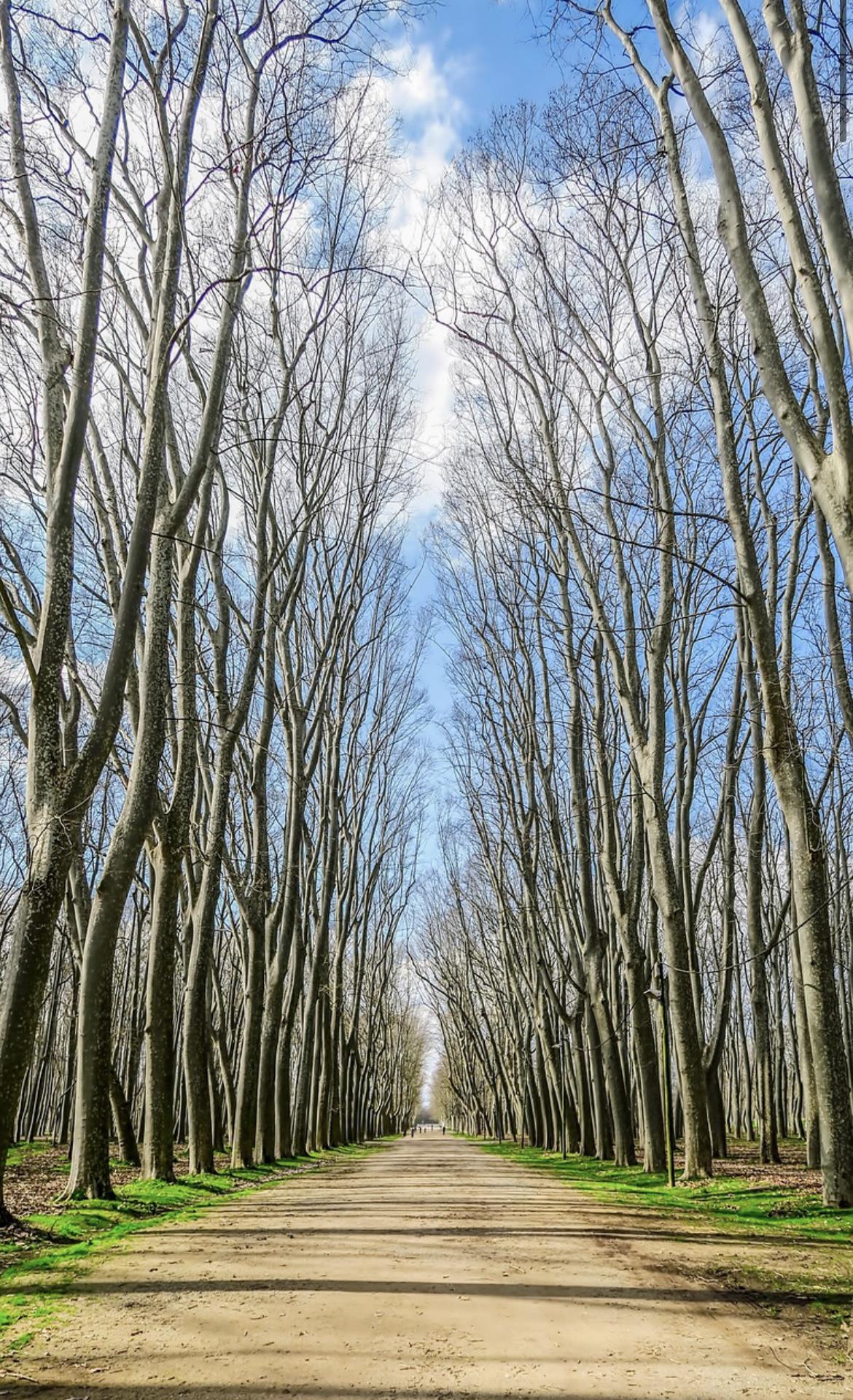 Imagen 4 Piso en venta en Girona / Pis de 88m2 al costat de l´Escola Montfalgars de Girona