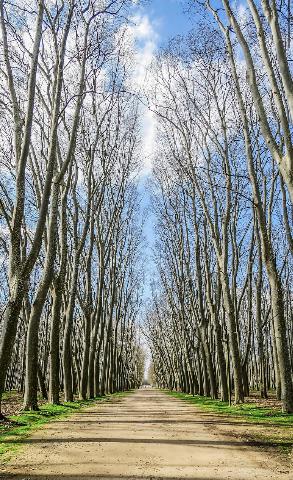 Imagen 4 Inmueble 299280 - Piso en venta en Girona / Pis de 88m2 al costat de l´Escola Montfalgars de Girona