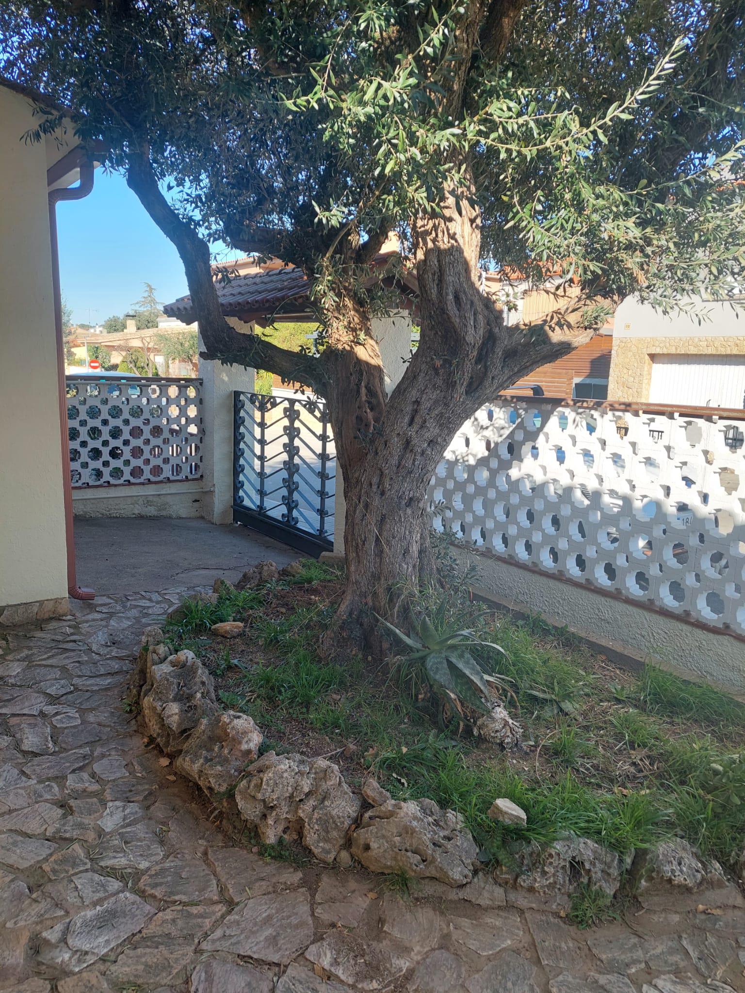 Imagen 8 Casa Aislada en venta en Bisbal D´empordà La / Casa independent de 188 m2 a La Bisbal D´...