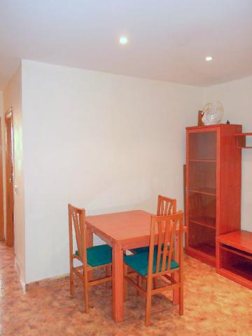 Imagen 10 Inmueble 291128 - Piso en venta en Hospitalet De Llobregat (L´) / Junto Avda. torrente Gornal