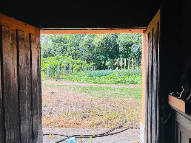 Imagen 10 Inmueble 294492 - Casa Rústica en venta en Ribadumia / Cerca de paseo fluvial, bodegas y  paso de peregrinos 