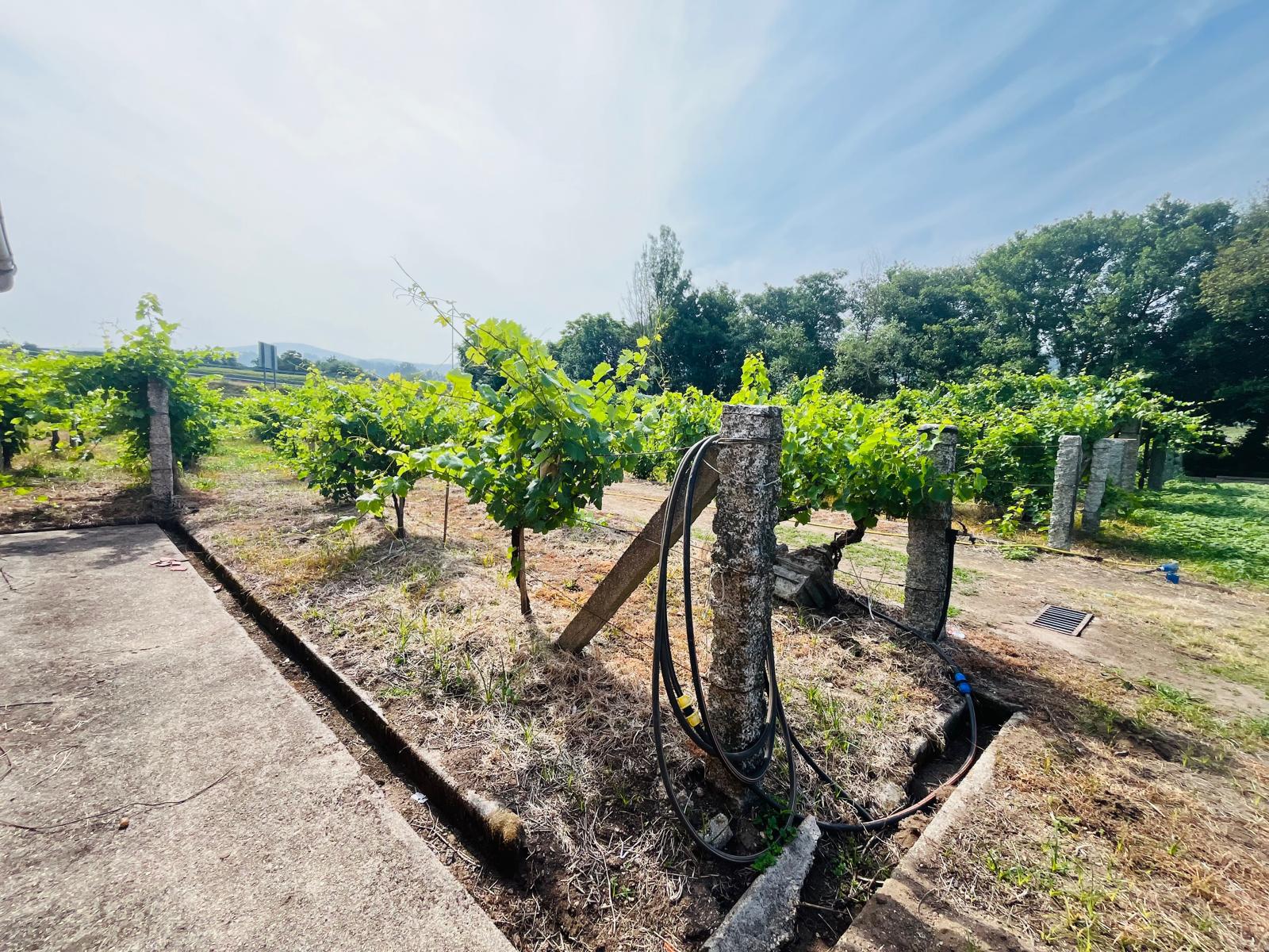 Imagen 13 Casa Rústica en venta en Ribadumia / Cerca de paseo fluvial, bodegas y  paso de peregrinos 