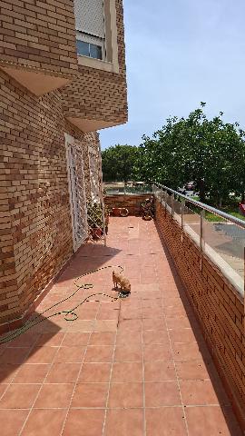 Imagen 13 Inmueble 295809 - Dúplex en venta en Almería /  Vega de Aca,todos los servicios cerca.A mts.del estadio