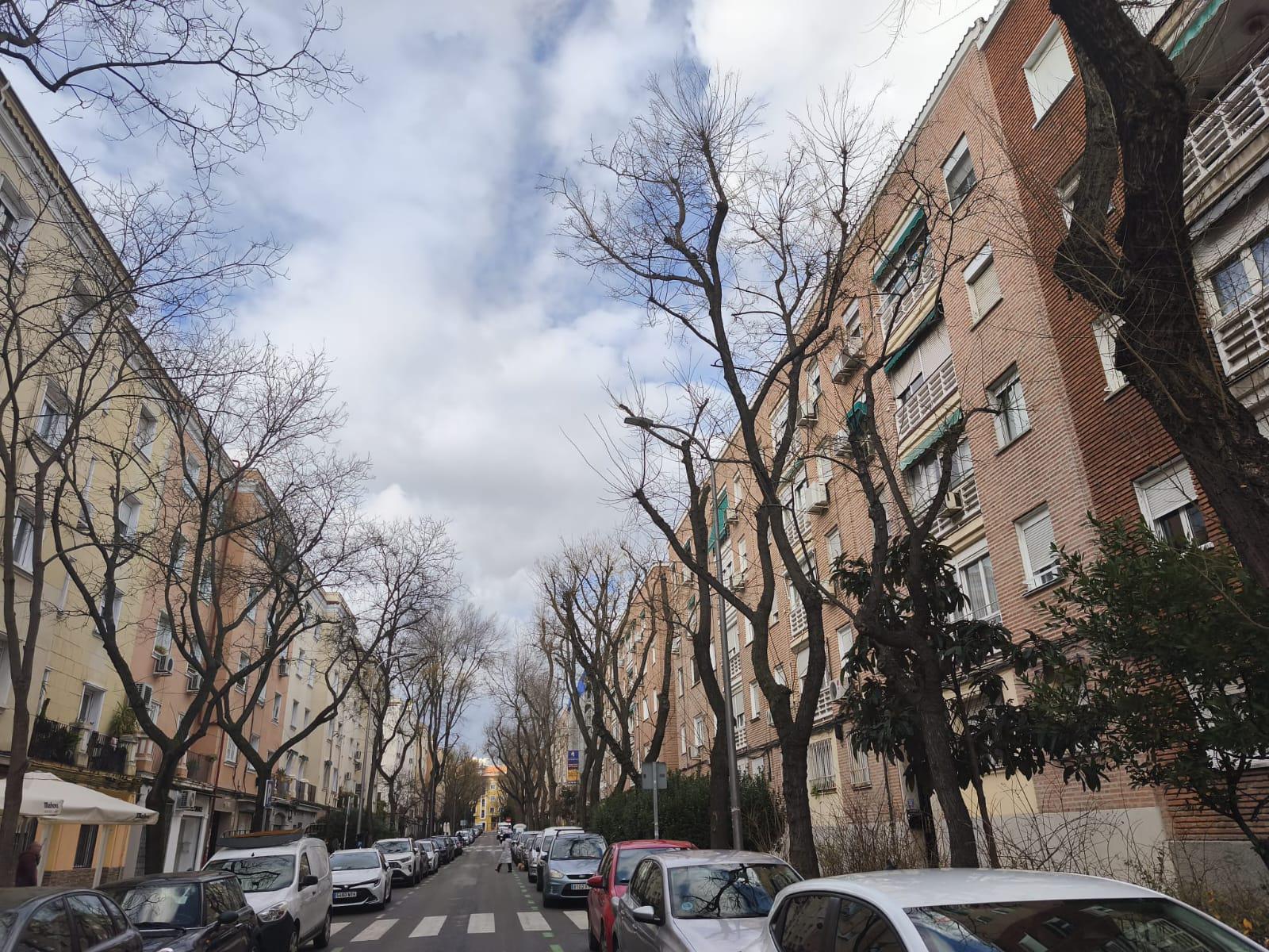 Imagen 21 Planta Baja en venta en Madrid / Zona ventas cercano al parque Fuente del Berro
