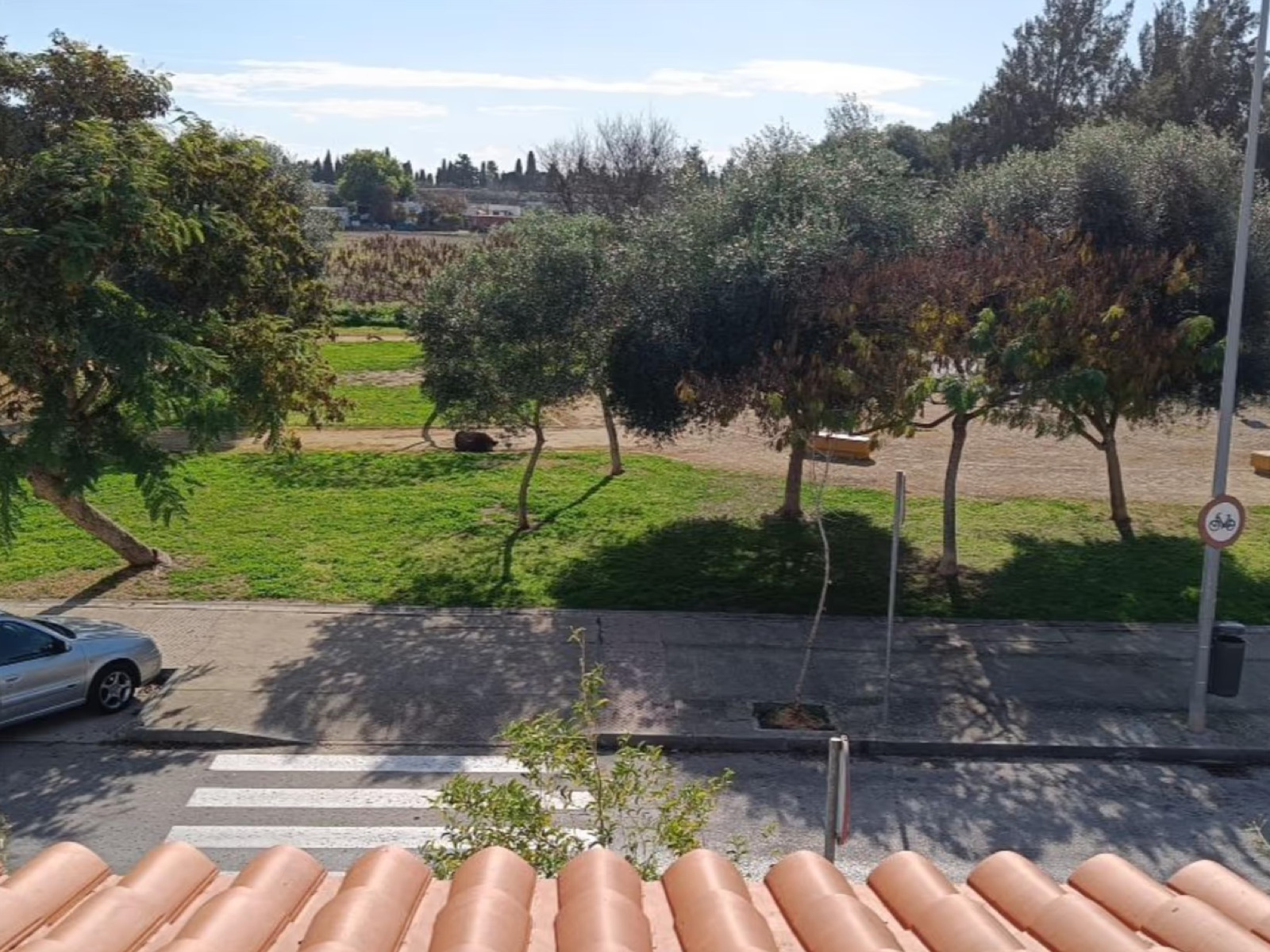 Imagen 15 Casa Adosada en venta en Jerez De La Frontera / La Marquesa - Avda Juan Carlos I