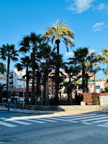 Imagen 12 Inmueble 300647 - Piso en venta en Pineda De Mar / Cerca de la Plaza Las Palmeras