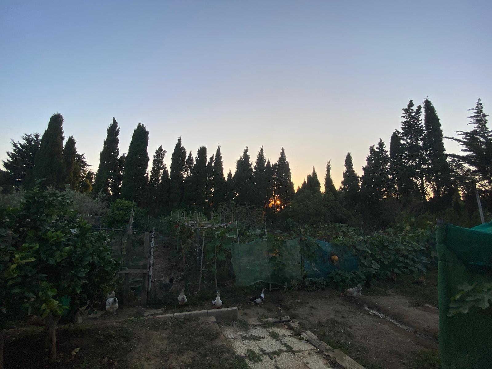 Imagen 12 Casa en venta en Chiclana De La Frontera / Cerca del Florín.