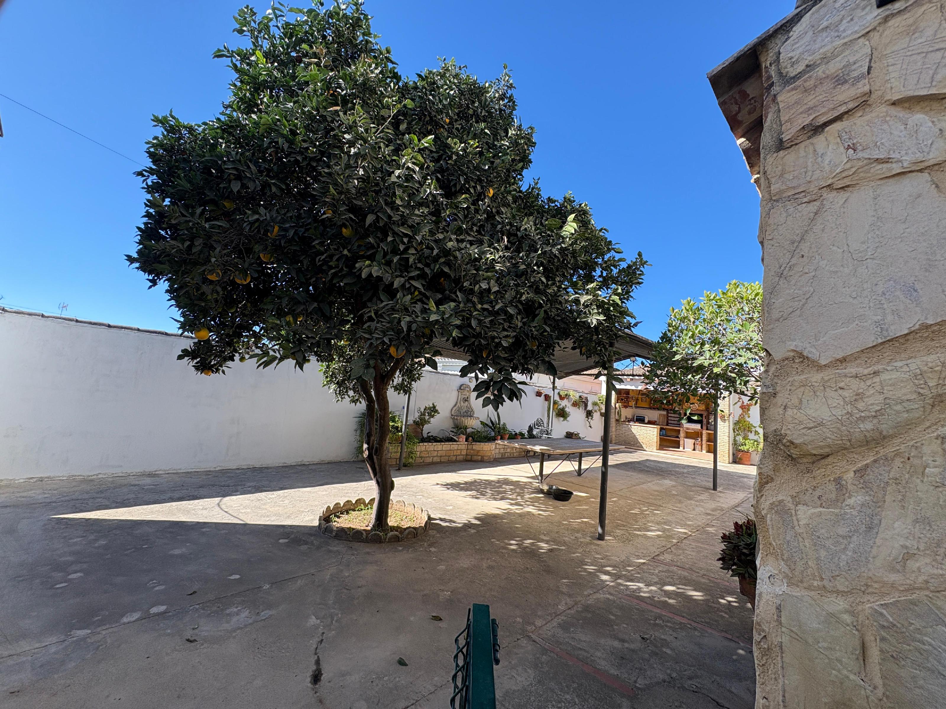 Imagen 19 Casa en venta en Chiclana De La Frontera / Zona Rana Verde. 