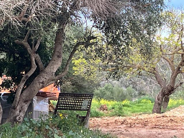 Imagen 12 Casa Rústica en venta en Manacor / Entre Cala Murada y Calas de Mallorca