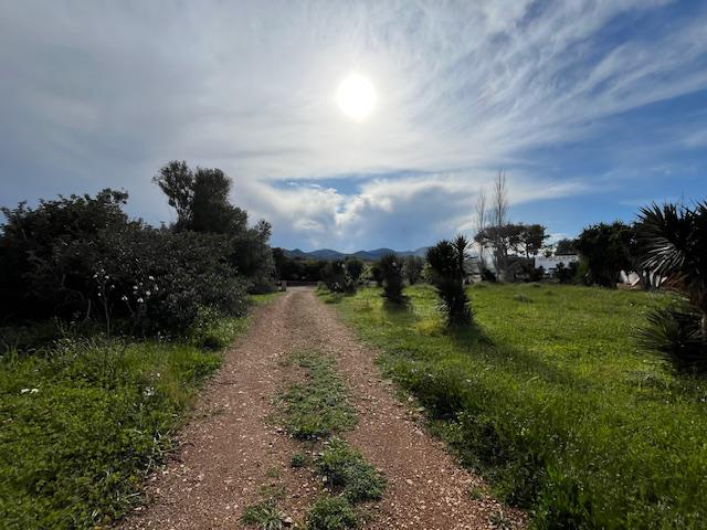 Imagen 20 Inmueble 288599 - Casa Rústica en venta en Manacor / Entre Cala Murada y Calas de Mallorca