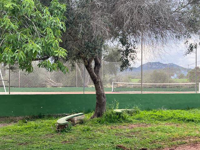 Imagen 15 Casa Rústica en venta en Manacor / Entre Cala Murada y Calas de Mallorca