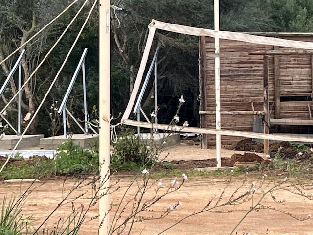 Imagen 17 Inmueble 288599 - Casa Rústica en venta en Manacor / Entre Cala Murada y Calas de Mallorca