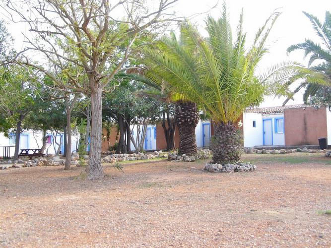 Imagen 13 Casa Rústica en venta en Manacor / Entre Cala Murada y Calas de Mallorca