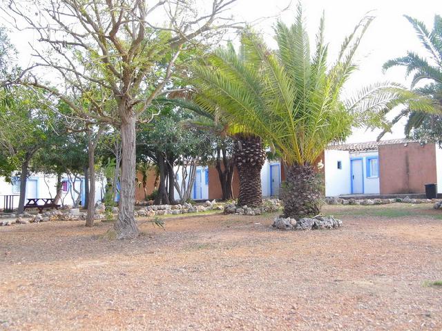 Imagen 13 Inmueble 288599 - Casa Rústica en venta en Manacor / Entre Cala Murada y Calas de Mallorca