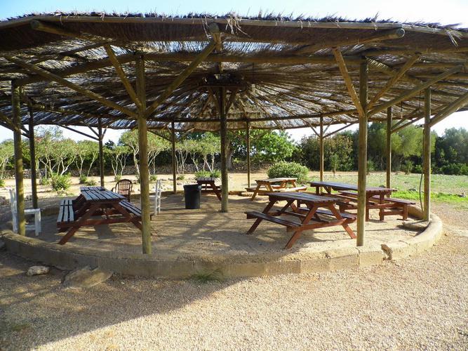 Imagen 4 Casa Rústica en venta en Manacor / Entre Cala Murada y Calas de Mallorca