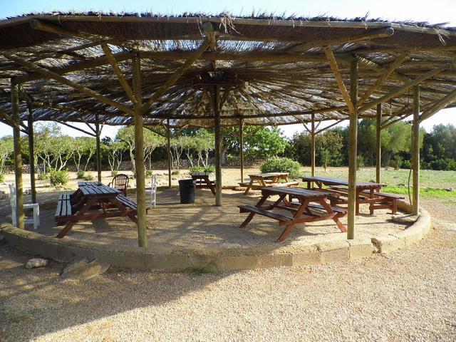 Imagen 4 Inmueble 288599 - Casa Rústica en venta en Manacor / Entre Cala Murada y Calas de Mallorca