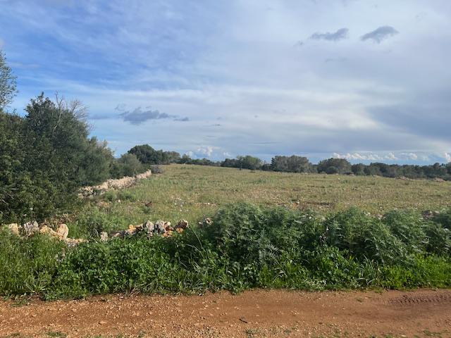 Imagen 32 Casa Rústica en venta en Manacor / Entre Cala Murada y Calas de Mallorca