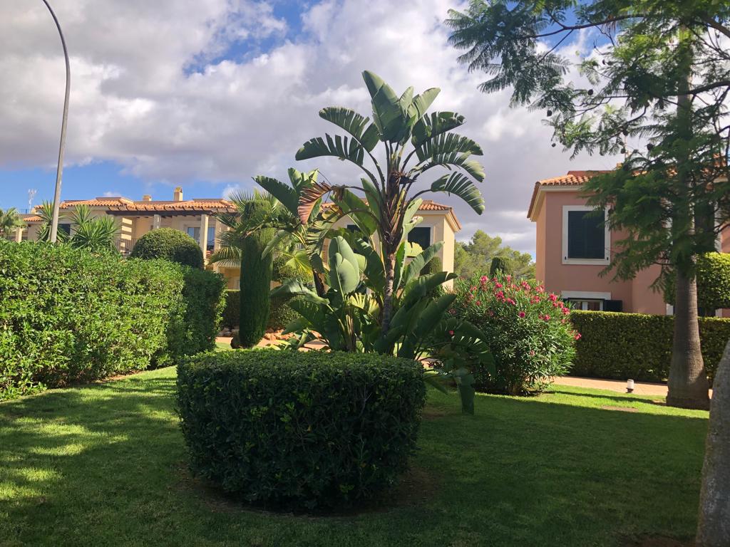 Imagen 12 Planta Baja en venta en Llucmajor / Piso planta baja en venta en Sa Ràpita - Campos