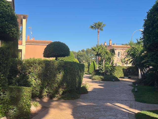 Imagen 21 Inmueble 290299 - Planta Baja en venta en Llucmajor / Piso planta baja en venta en Sa Ràpita - Campos