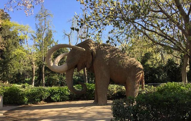 Imagen 15 Inmueble 288682 - Ático en venta en Barcelona / En el corazón del Gótico y de la Estación Francia