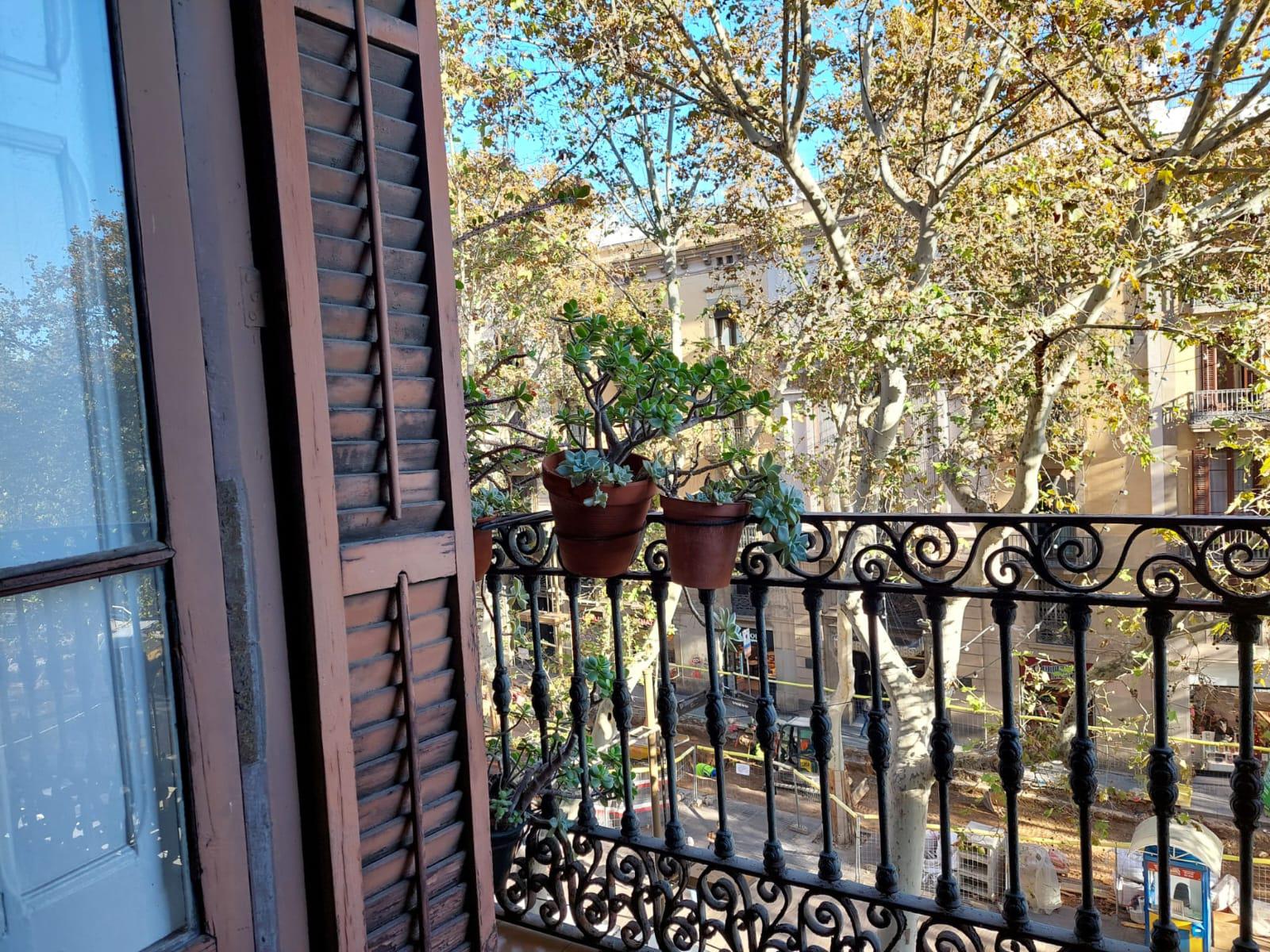 Imagen 3 Piso en venta en Barcelona / Frente a la Escultura de Pitarra