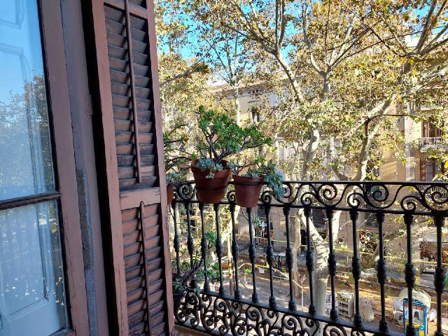 Imagen 3 Inmueble 293056 - Piso en venta en Barcelona / Frente a la Escultura de Pitarra