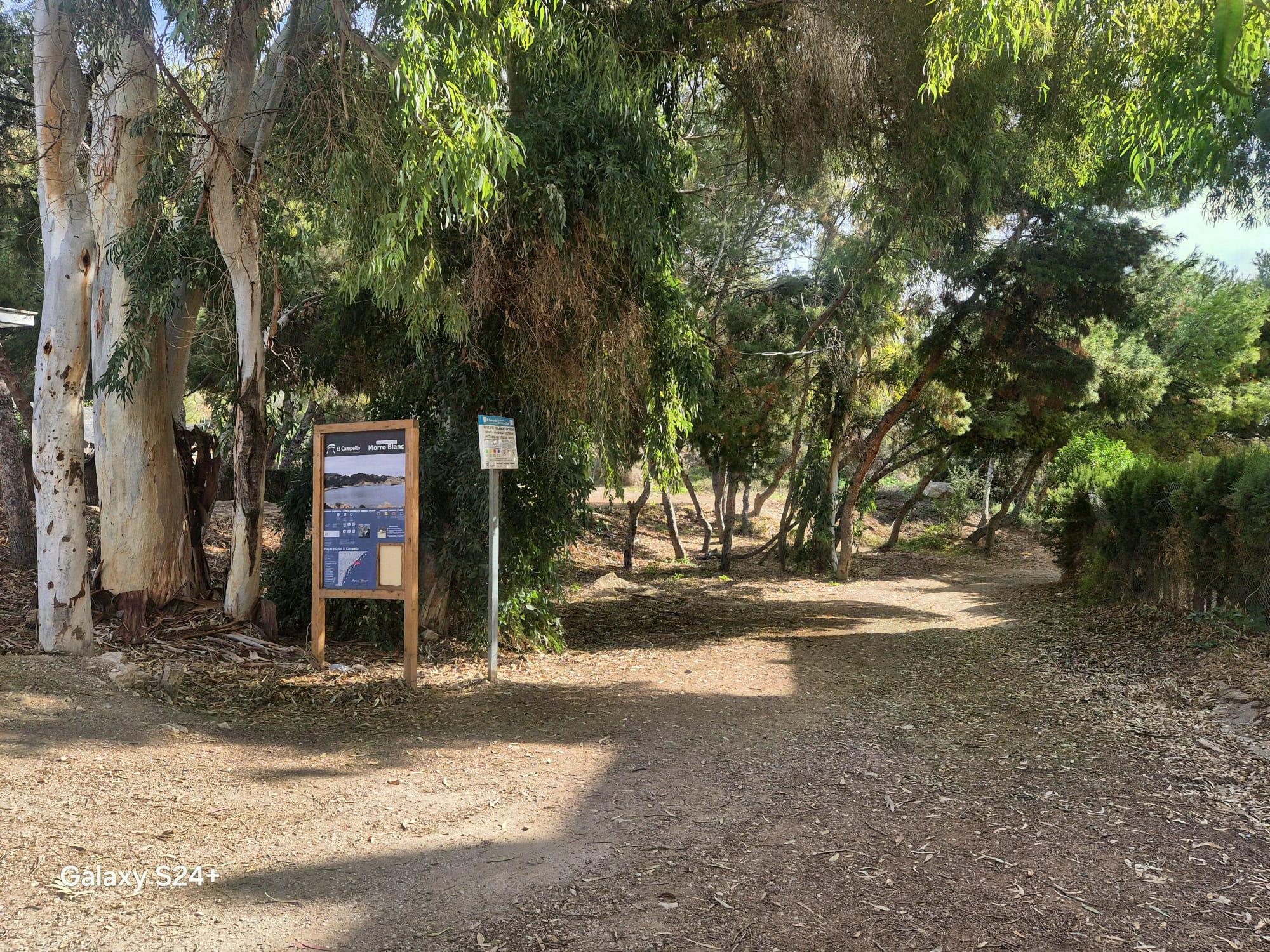 Imagen 31 Casa Aislada en venta en Campello El / A 200 metros de la cala Morro blanc