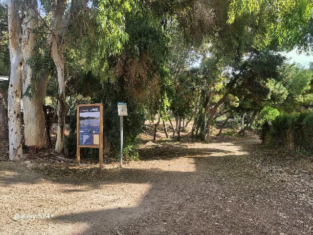 Imagen 31 Inmueble 288913 - Casa Aislada en venta en Campello (El) / A 200 metros de la cala Morro blanc