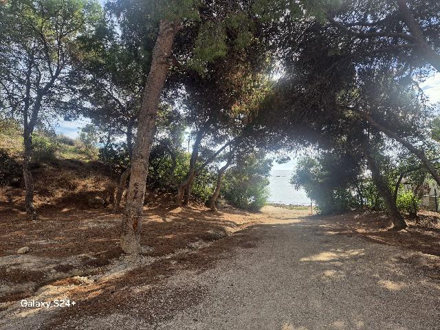 Imagen 33 Inmueble 288913 - Casa Aislada en venta en Campello (El) / A 200 metros de la cala Morro blanc