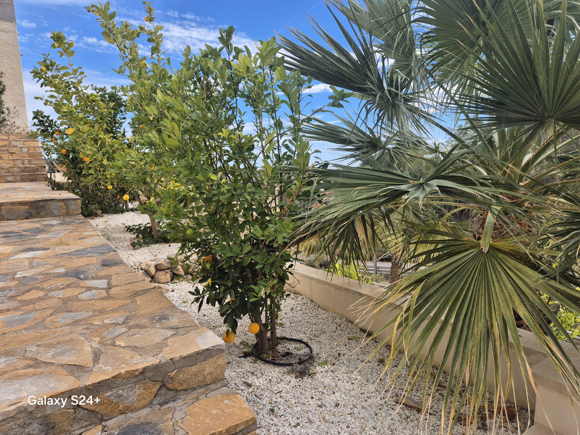 Imagen 3 Casa Aislada en venta en Campello El / A 200 metros de la cala Morro blanc