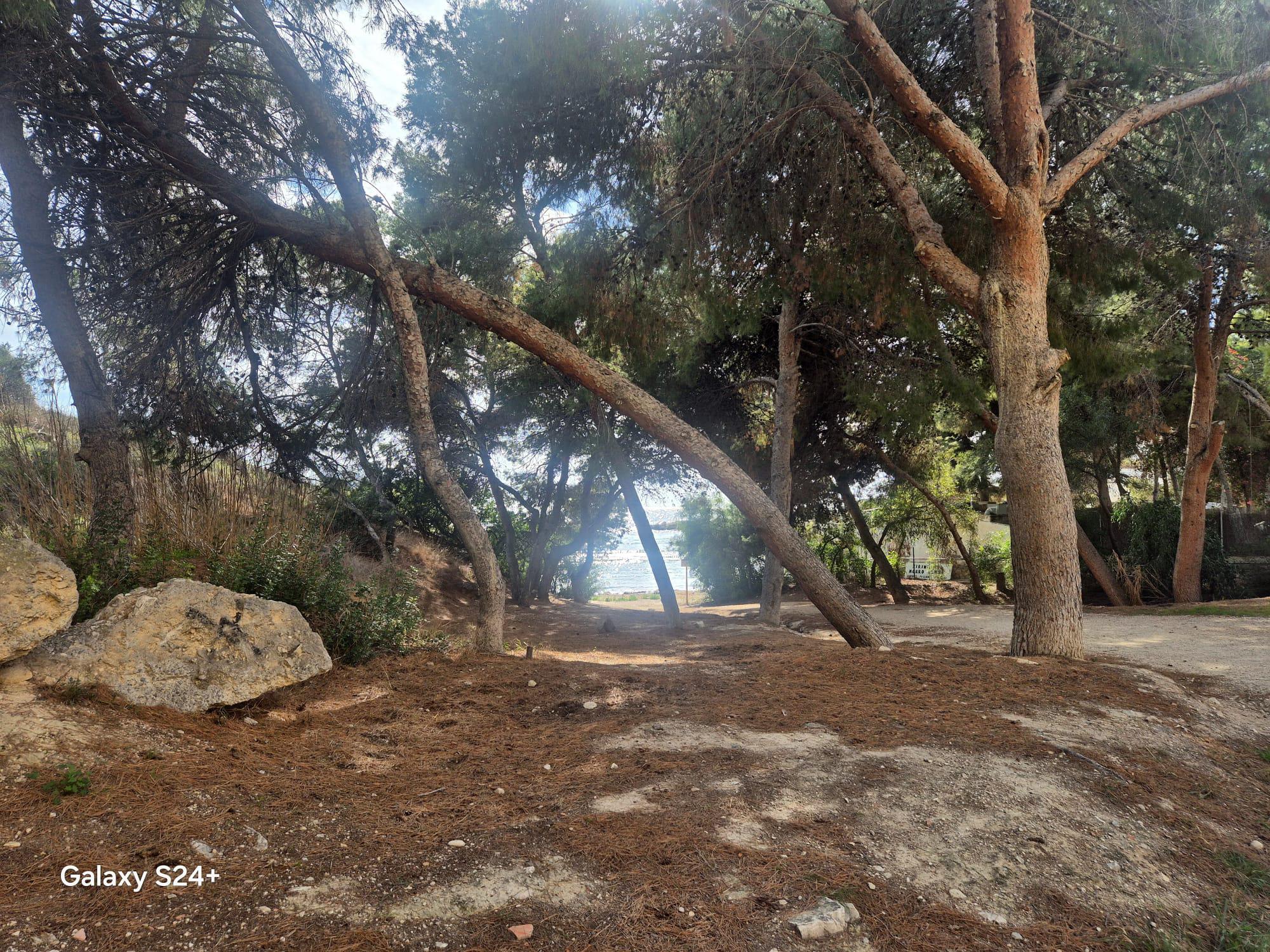 Imagen 32 Casa Aislada en venta en Campello El / A 200 metros de la cala Morro blanc