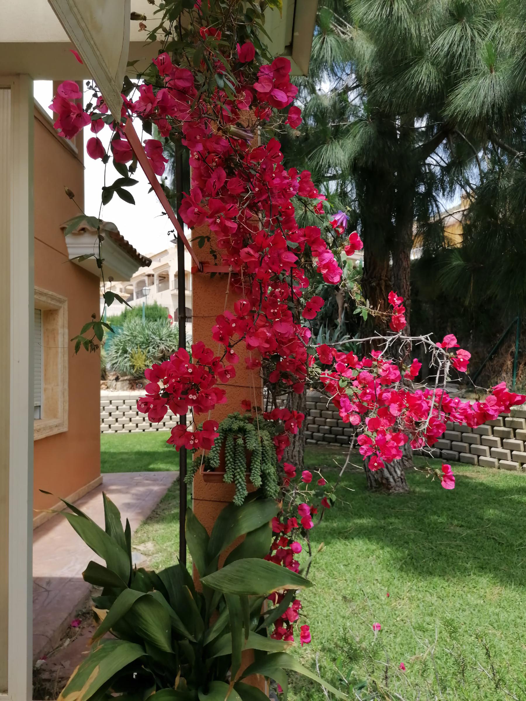 Imagen 61 Casa Aislada en venta en Busot / Calle lesco marques