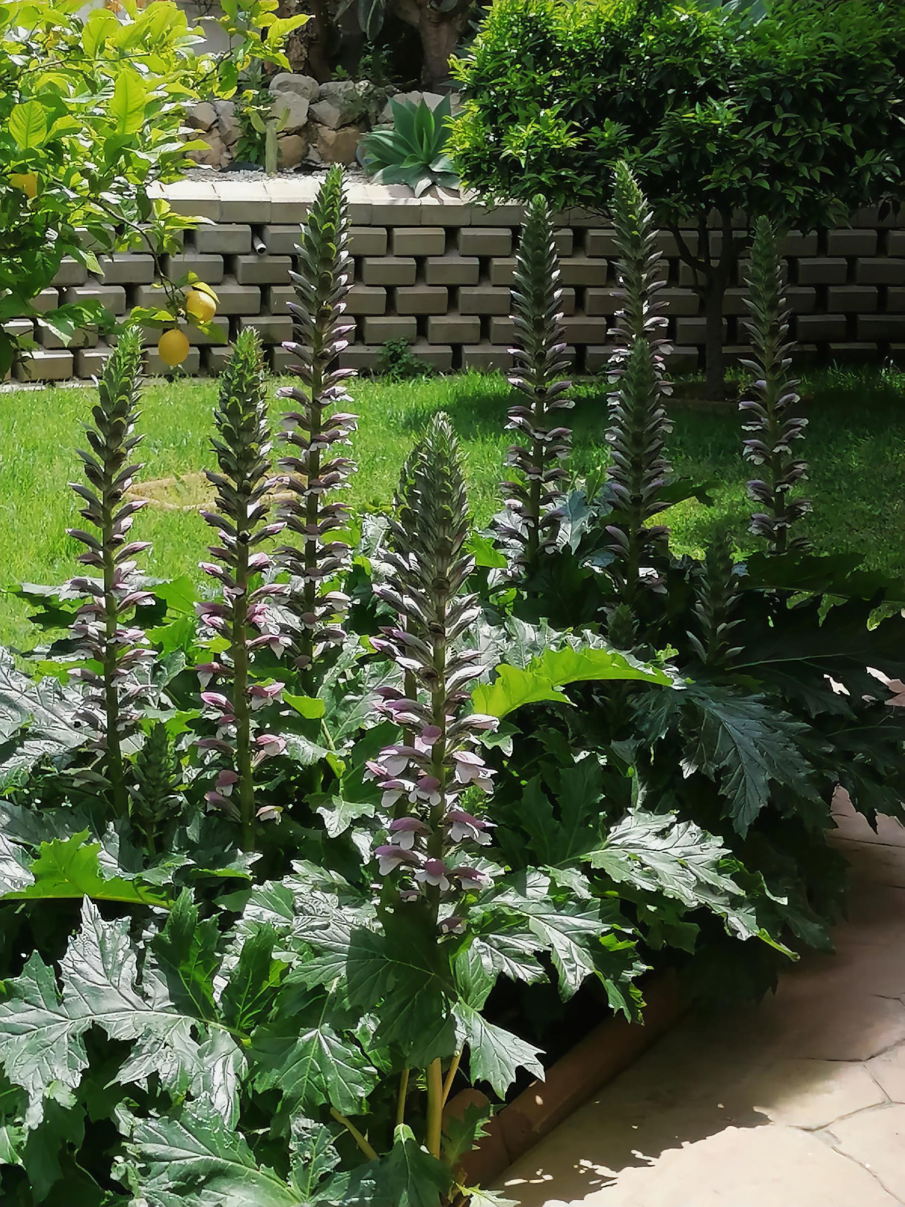 Imagen 63 Casa Aislada en venta en Busot / Calle lesco marques